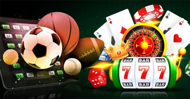 Exciting Live Games With Tip & Win Options 15 Exciting Live Games With Tip & Win Options 15
